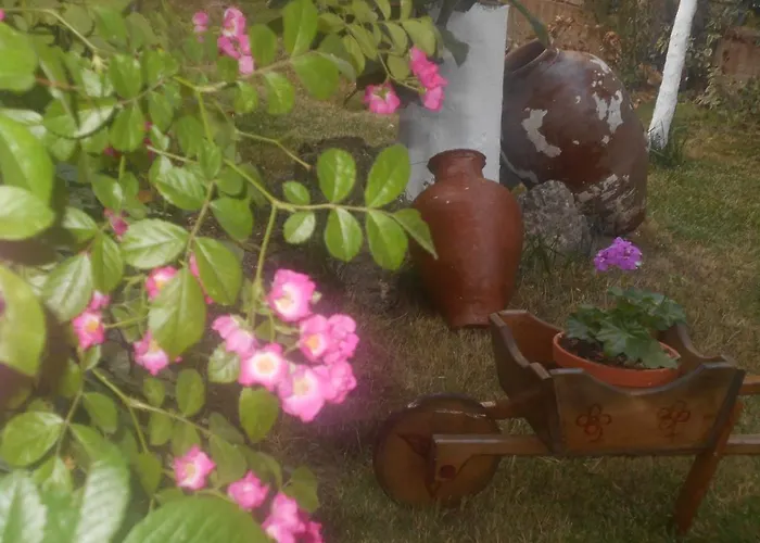 Irida Apartment
